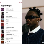 Blaqbonez acl lyrics