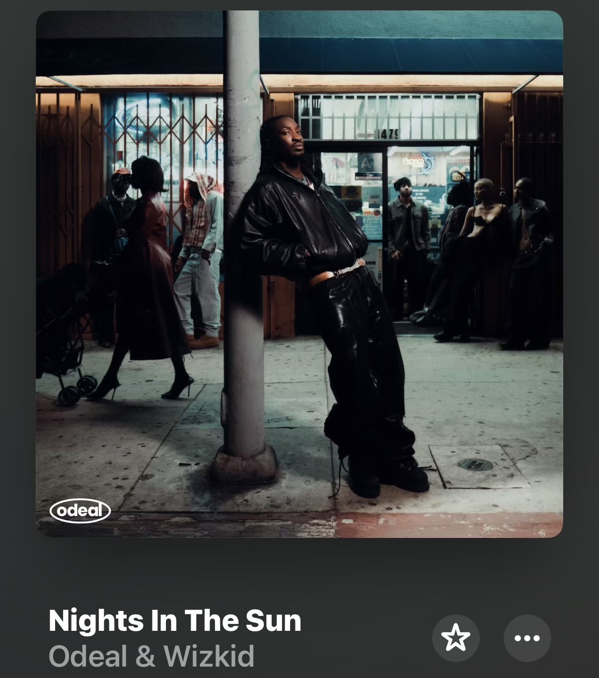 nights in the sun lyrics