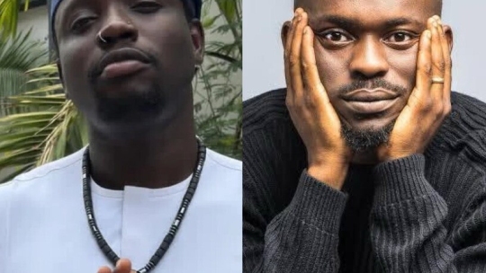 verydarkman fight mr jollof