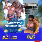 december bucket list 2025