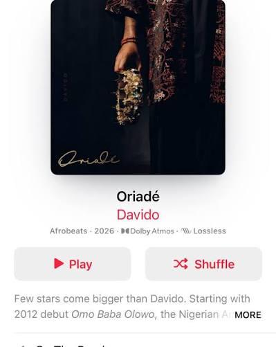 Fans rank top Afrobeats albums of 2026
